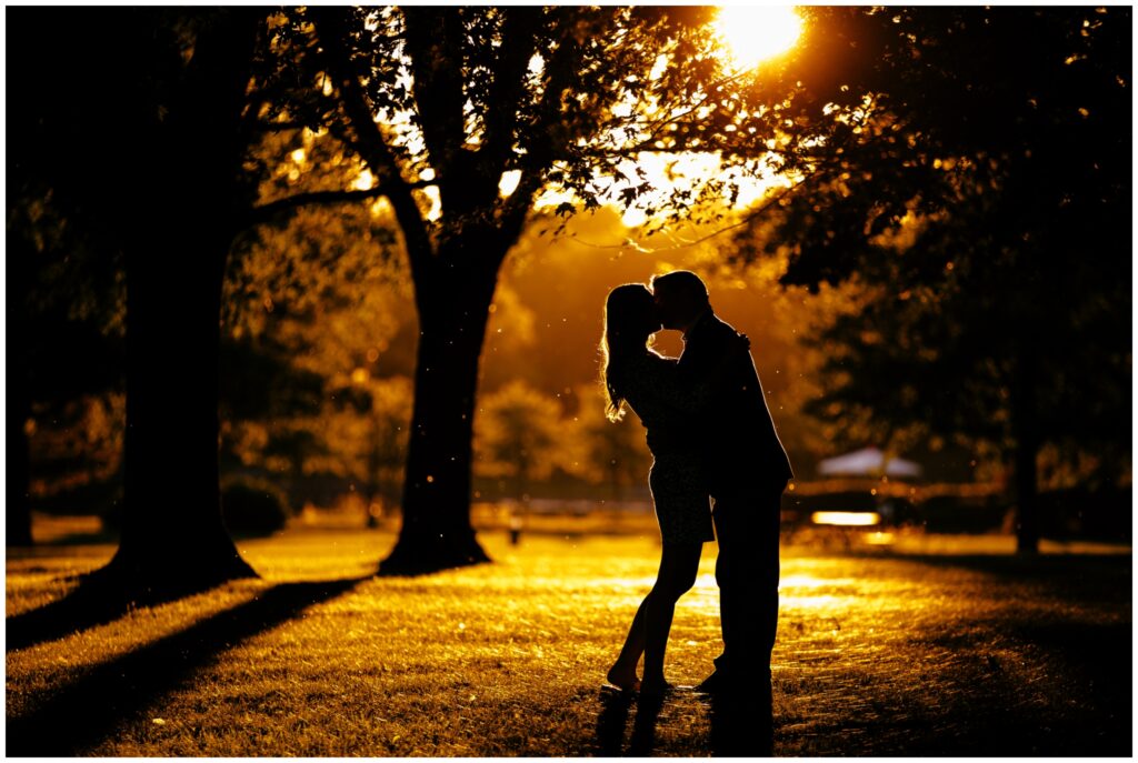 A silhouette of a couple among trees during their engagement session. Golden sunlight bursts behind them.