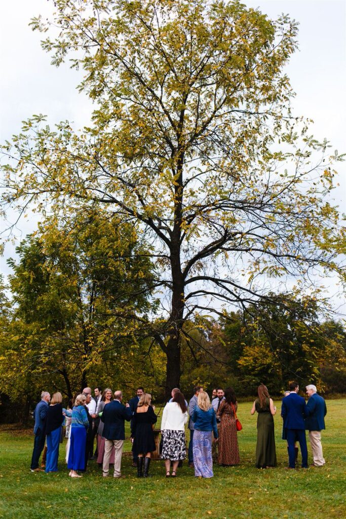 Wedding guests standing in a circle under a tree during an outdoor cocktail hour.