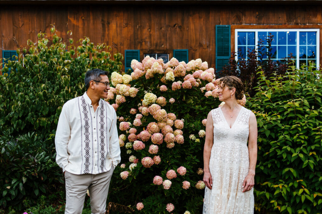 The couple stands next to a large bush of pink and white hydrangeas in front of a wooden barn. 